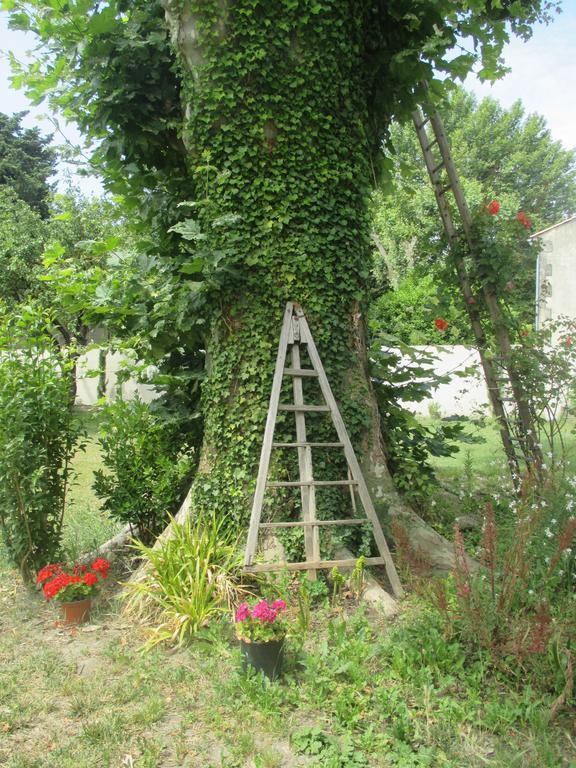 Villa Mas Le Nathakassou à Cabannes Extérieur photo